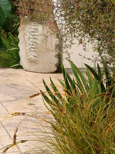 Pingao or golden sand sedge, Muehlenbeckia astonii and Xeronema callistemon in a garden setting. Photographer: Isobel Gabites